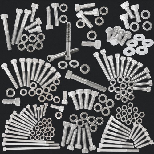 Stainless steel engine bolt - stainless,
